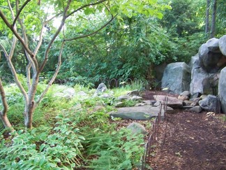 Atlanta Botanical Garden, GA.
