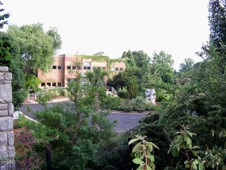Atlanta Botanical Garden, GA.