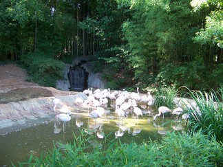 Atlanta Botanical Garden, GA.