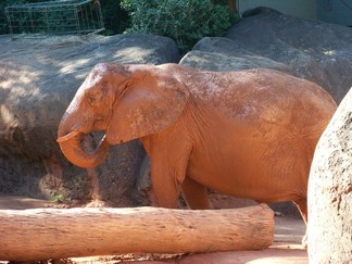 Zoo Atlanta, GA.