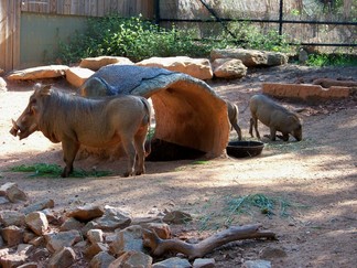 Zoo Atlanta, GA.