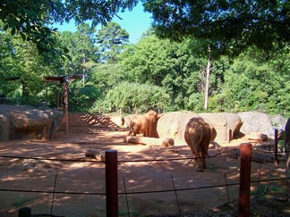 Zoo Atlanta, GA.