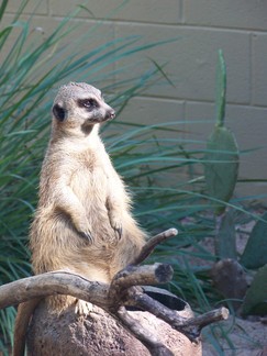 Zoo Atlanta, GA.