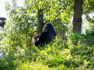 Zoo Atlanta, GA.