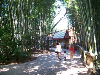 Zoo Atlanta, GA.