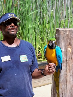 Zoo Atlanta, GA.