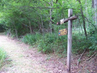 Delaware County Catskills Hike, NY.