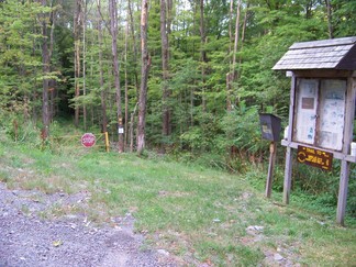 Delaware County Catskills Hike, NY.