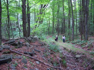 Delaware County Catskills Hike, NY.