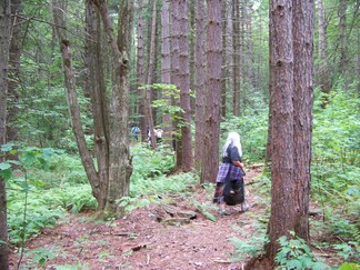 Delaware County Catskills Hike, NY.