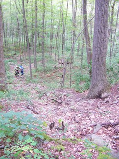 Delaware County Catskills Hike, NY.