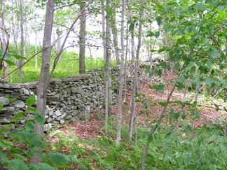 Delaware County Catskills Hike, NY.