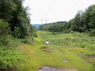 Delaware County Catskills Hike, NY.