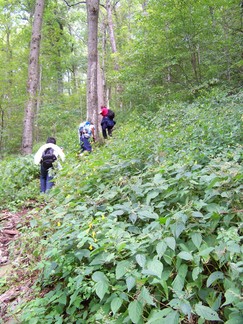 Delaware County Catskills Hike, NY.