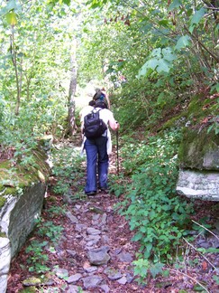 Delaware County Catskills Hike, NY.