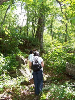 Delaware County Catskills Hike, NY.