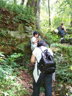 Delaware County Catskills Hike, NY.