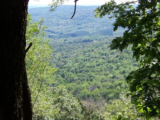 Delaware County Catskills Hike, NY.