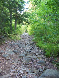 Cat and Thomas Mountain Hike, Lake George, NY.