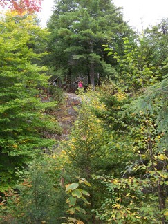 Cat and Thomas Mountain Hike, Lake George, NY.