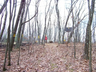 Long Path along Middleburgh Clifts, NY.