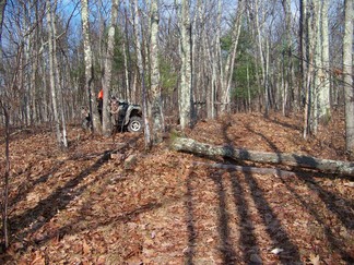 Long Path along Middleburgh Clifts, NY.