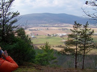 Long Path along Middleburgh Clifts, NY.