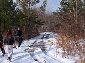 Long Path in Albany/Schoharie County, NY.