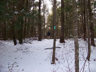 Long Path in Albany/Schoharie County, NY.