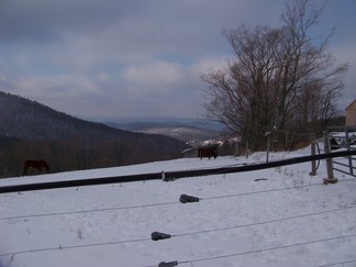 Merck Forest and Farmland Center in Rupert, VT.