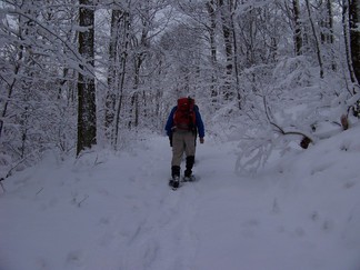 Merck Forest and Farmland Center in Rupert, VT.