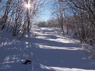 Snowshoe hike to Berlin Mountain, Taconic Crest Trail, NY.