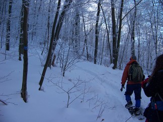 Snowshoe hike to Berlin Mountain, Taconic Crest Trail, NY.