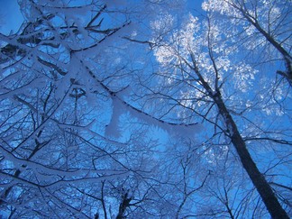 Snowshoe hike to Berlin Mountain, Taconic Crest Trail, NY.