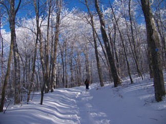 Snowshoe hike to Berlin Mountain, Taconic Crest Trail, NY.