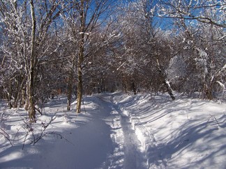 Snowshoe hike to Berlin Mountain, Taconic Crest Trail, NY.