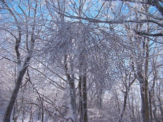 Snowshoe hike to Berlin Mountain, Taconic Crest Trail, NY.