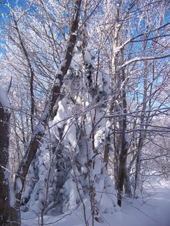 Snowshoe hike to Berlin Mountain, Taconic Crest Trail, NY.