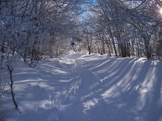 Snowshoe hike to Berlin Mountain, Taconic Crest Trail, NY.