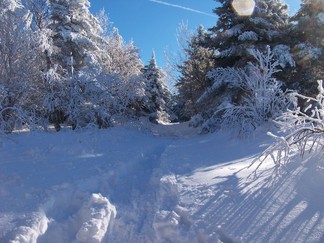 Snowshoe hike to Berlin Mountain, Taconic Crest Trail, NY.