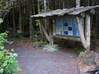 Trail Head for Shi Shi Beach, WA.