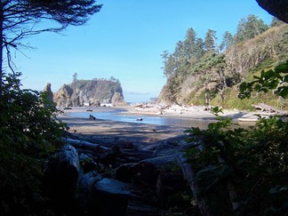 Kalaloch Beach, WA.