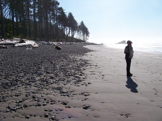Kalaloch Beach, WA.
