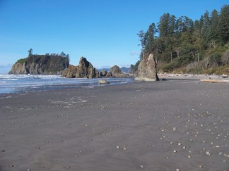Kalaloch Beach, WA.