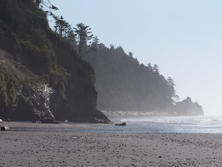 Kalaloch Beach, WA.