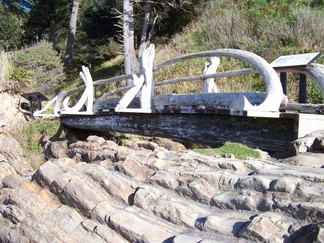 Kalaloch Beach, WA.