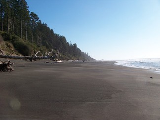 Kalaloch Beach, WA.