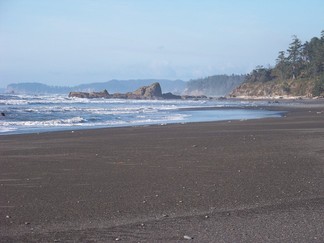 Kalaloch Beach, WA.