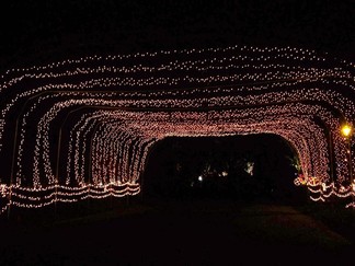 Albany NY Capital Holiday Lights In The Park, Albany, NY.