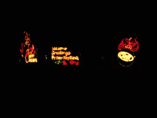 Albany NY Capital Holiday Lights In The Park, Albany, NY.